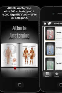 atlante anatomico