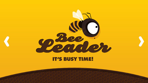 Bee Leader