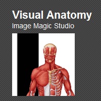 Un intero atlante di anatomia da consultare con Visual Anatomy per Android